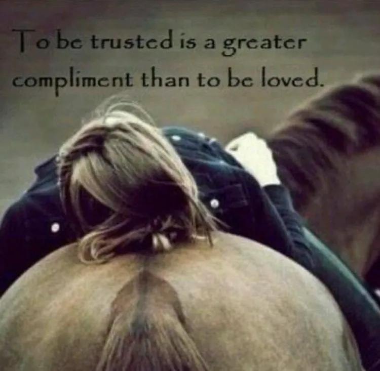 EQUUSWAY photo 4