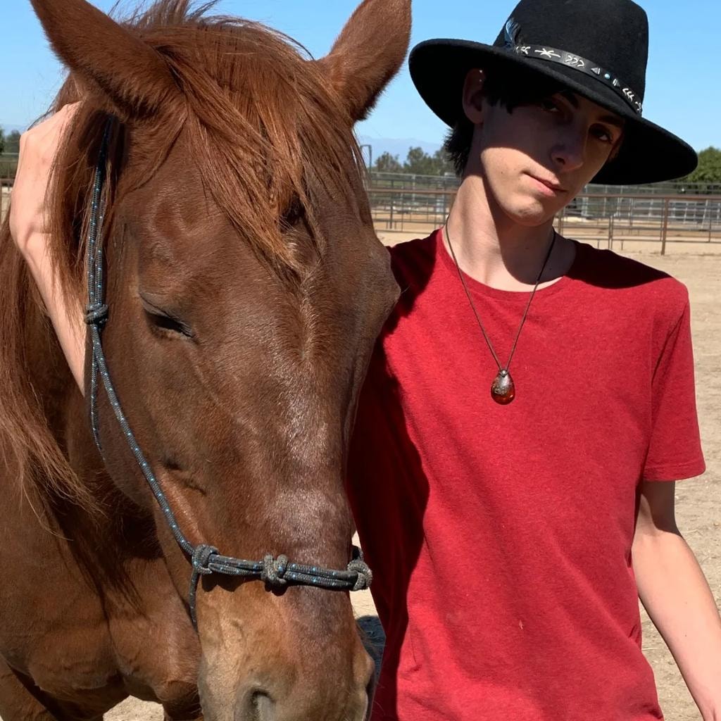 EQUUSWAY photo 5