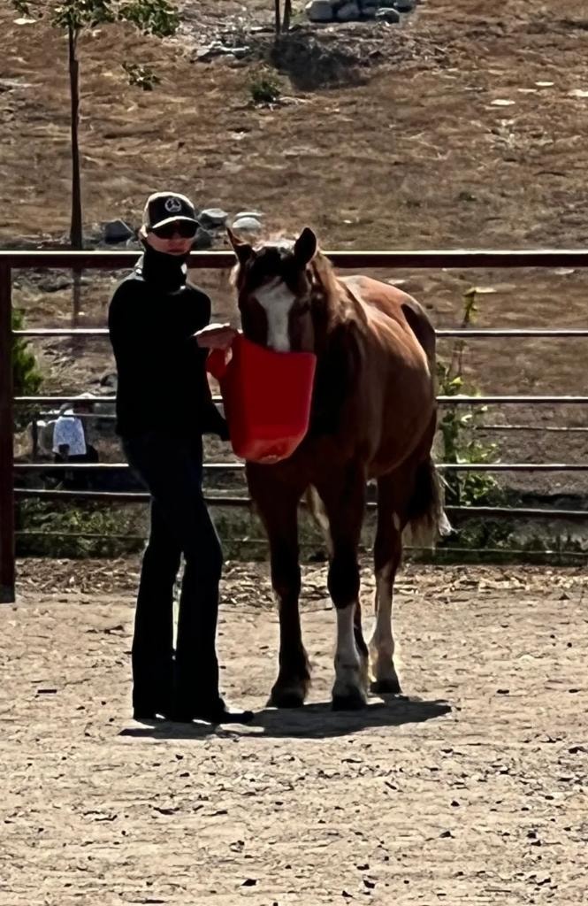 EQUUSWAY photo 8